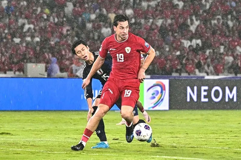 cac cau thu nhap tich cua indonesia
